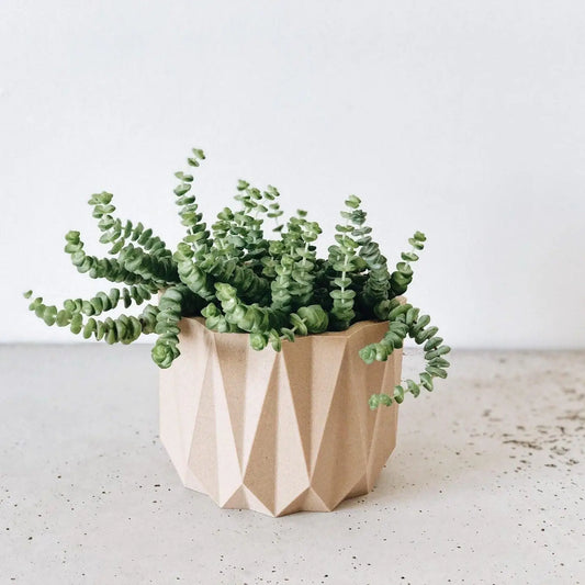 Geometrische, houten sierpot