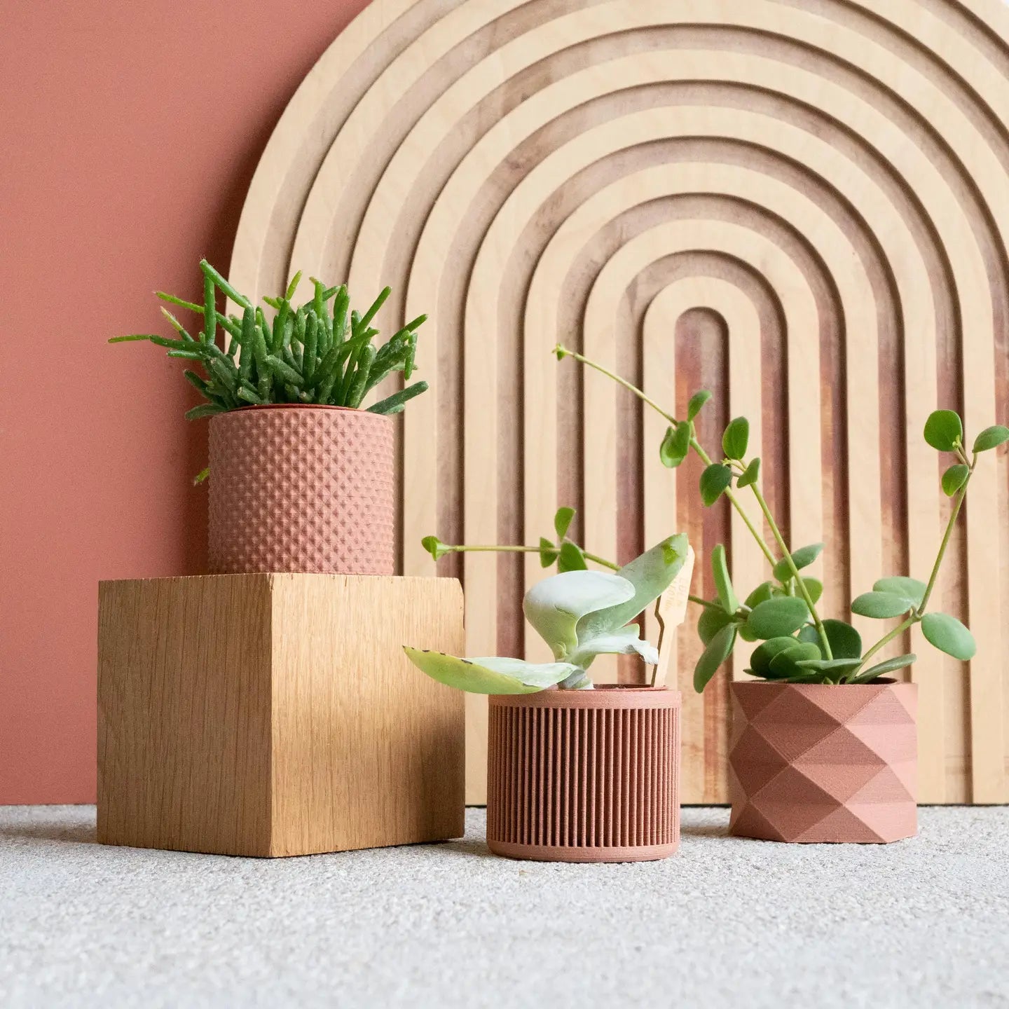Set van 3 kleine plantenpotjes