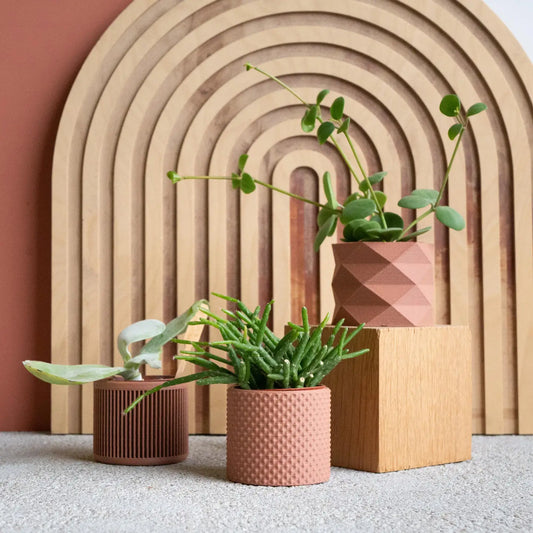Set van 3 kleine plantenpotjes