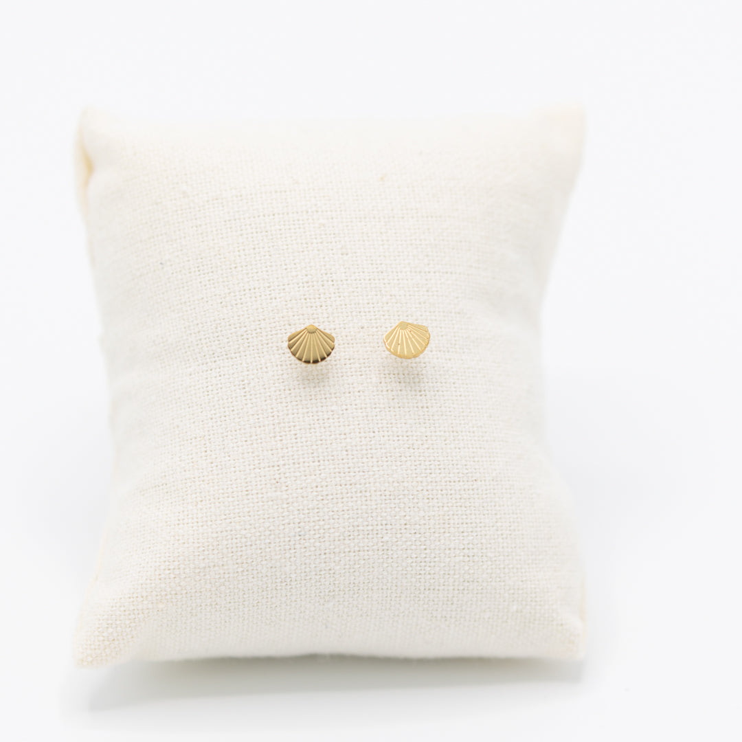 Schelp-oorbelletjes