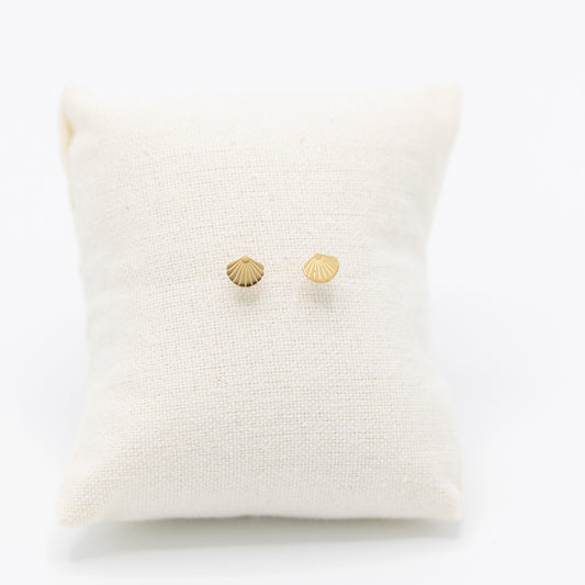 Schelp-oorbelletjes