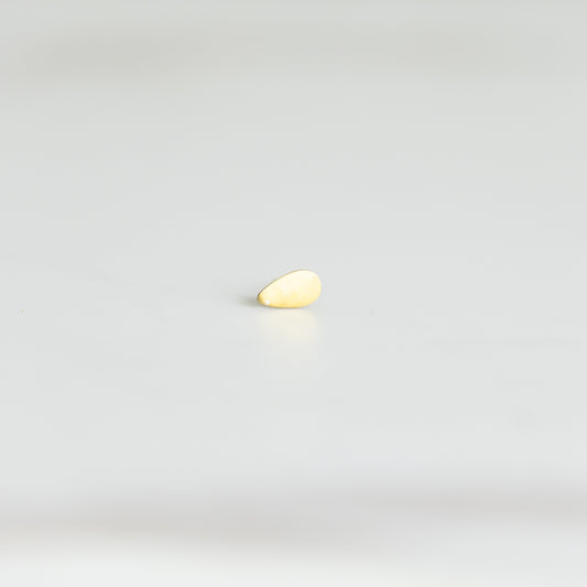 Stud (1pc)