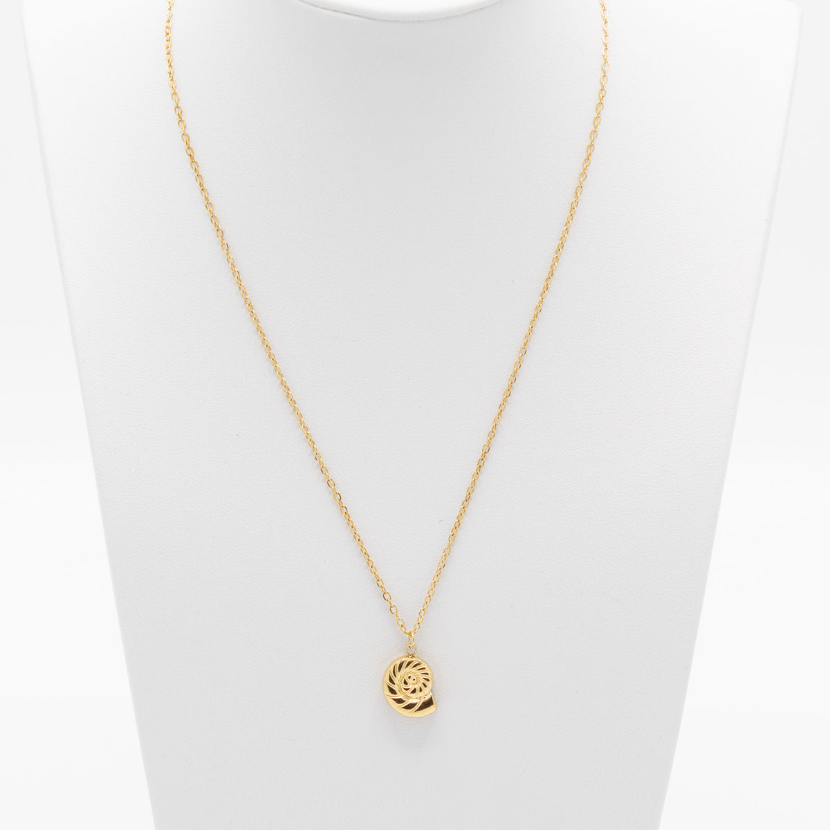Ketting met schelp