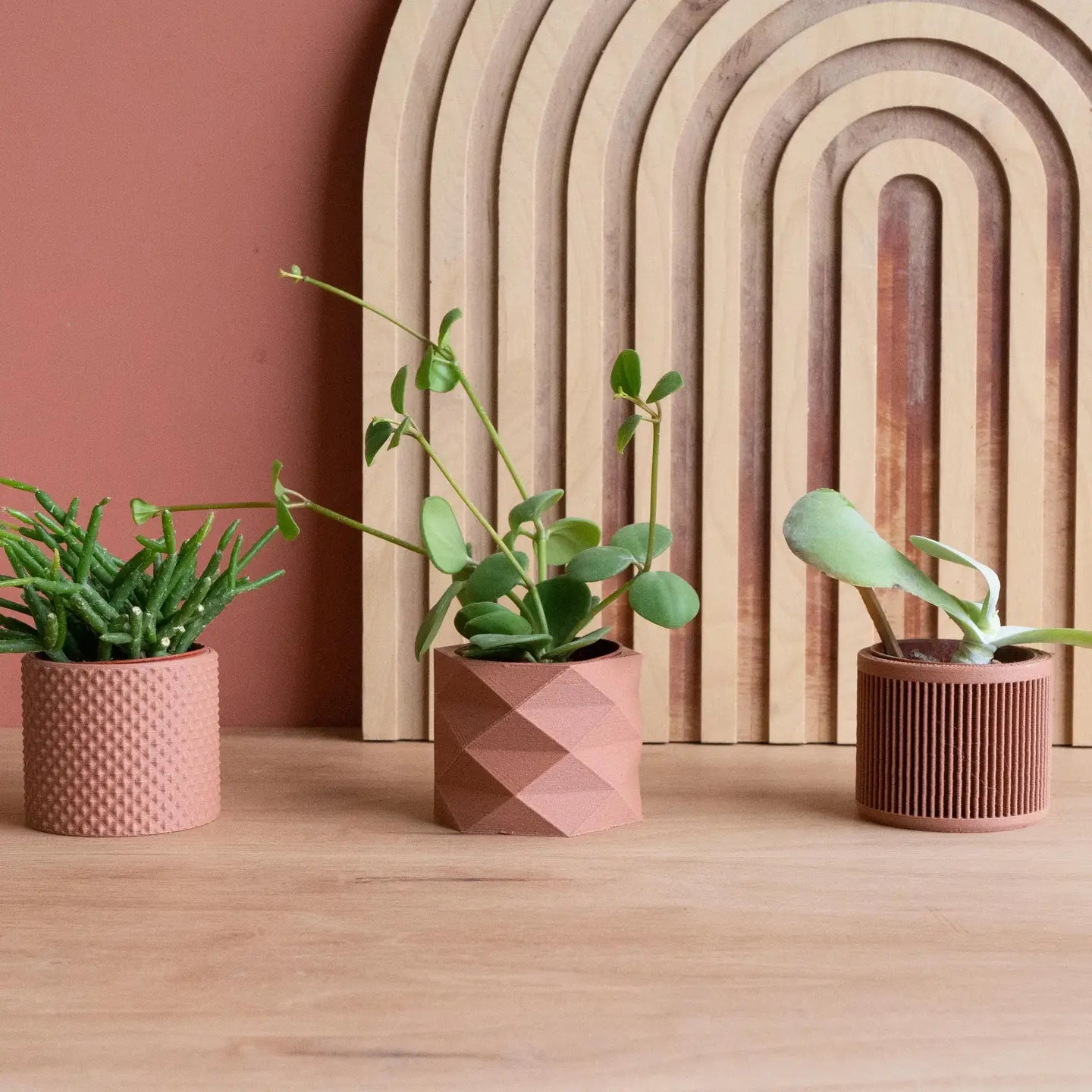 Set van 3 kleine plantenpotjes