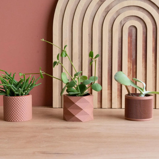 Set van 3 kleine plantenpotjes
